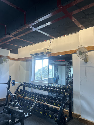 Strength training machines and weights area.